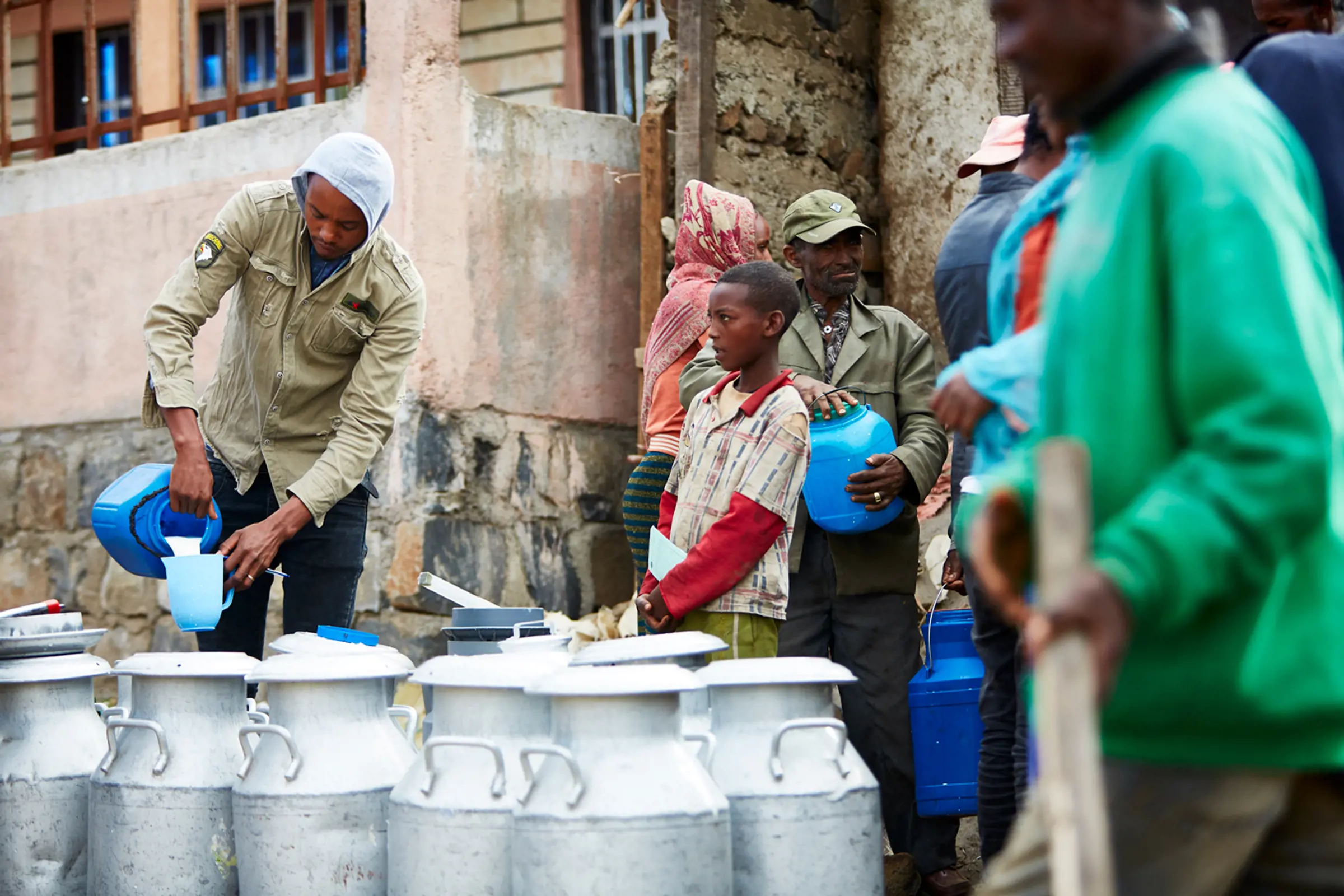 GAIN Access to Better Dairy Ethiopia  (em inglês)